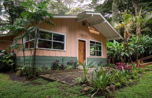 Monteverde House | Forest Garden House