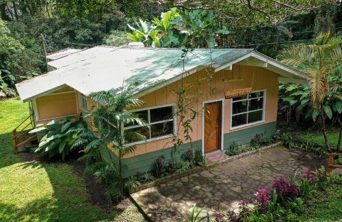 Monteverde House | Forest Garden House
