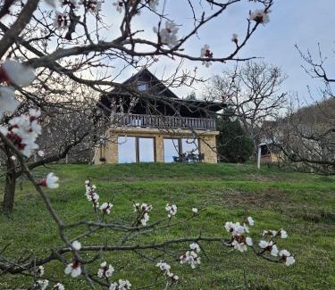 Central Serbia House | Forest Heaven Retreat with jakuzz