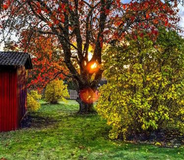 Rosenfors House | FoRest House