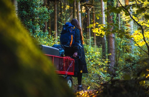 Betws-Y-Coed Cabin | Forest Lodges