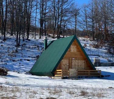 Pluzine Ski Chalet | Forest rest