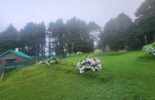 Dalhousie Hotel | Forest Vibes Kalatop-Rooms And Restaurant