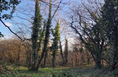Newark upon Trent Apartment | Forest view cottage