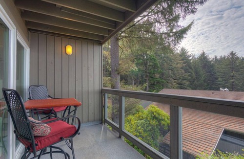Otter Rock Apartment | Forest View Studio with Full Kitchen & Patio