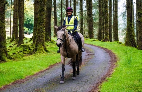 Ponterwyd Cabin | Forester's Retreat Glamping - Cambrian Mountains