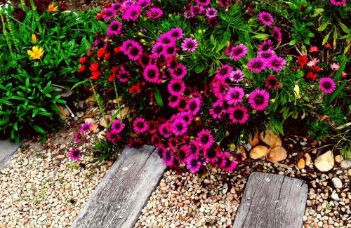 Sedgefield Bed & Breakfast | Forestview guesthouse and B&B
