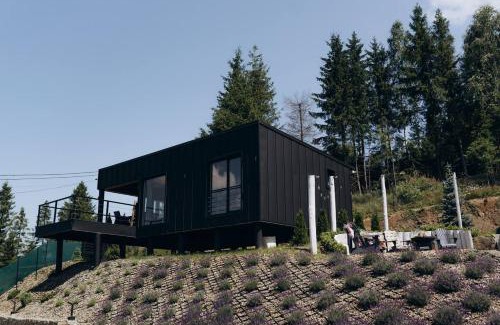 Slavske House | ForRestHillResort