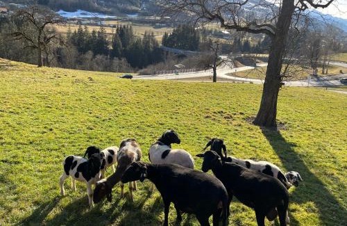 Taxenbach Bed & Breakfast | Forsthof Taxenbach