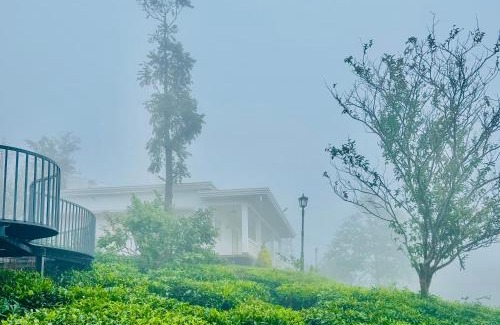 Pirmed House | Four Winds Plantation Homestay Approved by Dept of Tourism Govt of Kerala