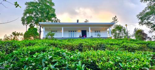Pirmed House | Four Winds Plantation Homestay Approved by Dept of Tourism Govt of Kerala