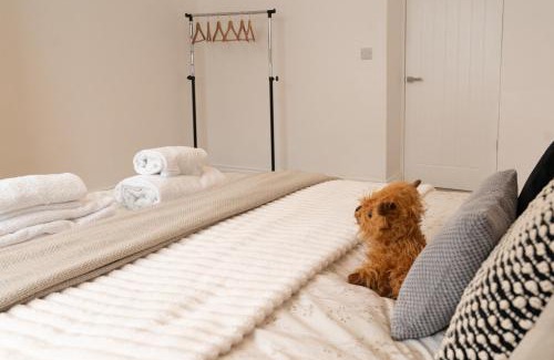 Seaton Apartment | Fox ford 51