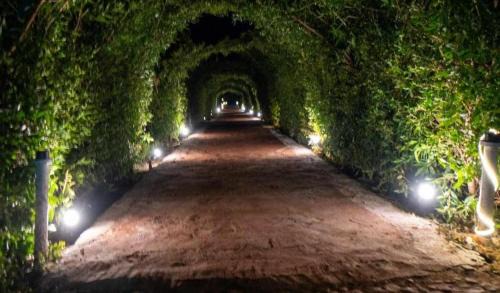 Al Ahyaa Hotel | Fox Hotel El Ahyaa