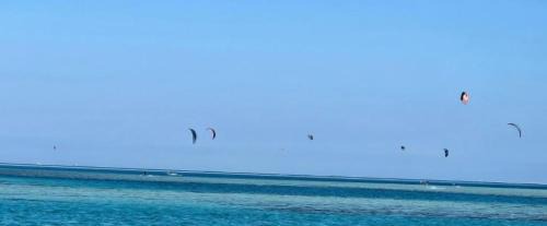 Al Ahyaa Apartment | Fox house resort Apartment hotel