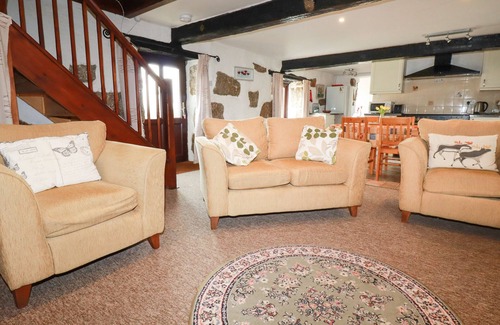 Bodmin Cottage | Foxes