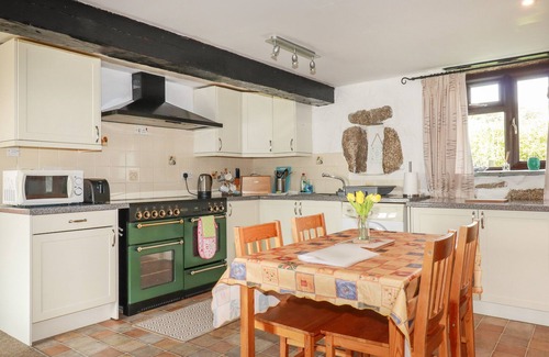 Bodmin Cottage | Foxes