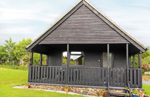Beaworthy Cottage | Foxglove Lodge - UK13448