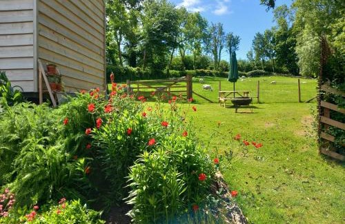 Dulverton Other | Foxgloves
