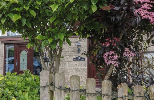 Castleton Cottage | Foxgloves