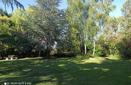 Saint-Georges-Haute-Ville Bed & Breakfast | 28 m² Bed and breakfast ∙ 2 guests