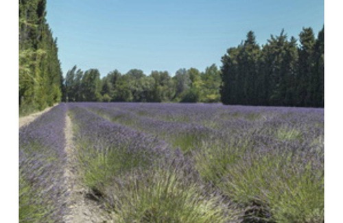 Saint-Saturnin-les-Avignon Apartment | 30 m² Apartment ∙ 3 bedrooms ∙ 4 guests