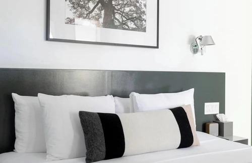 Travis Heights Hotel | Frame Hotel - Treehouse