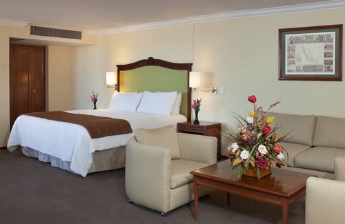 Zona Centro Hotel | Francia Aguascalientes