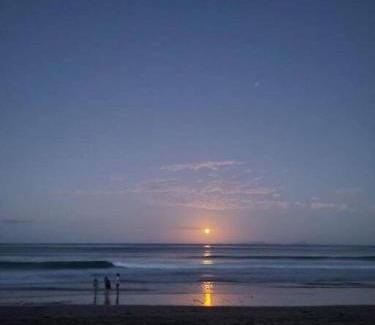 Ngunguru Apartment | Frangipani guesthouse -Ngunguru