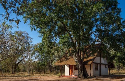 Thorny Bush Game Reserve Cabin | Franks Bush Camp