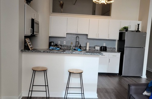Wholesale District Apartment | FREE Parking & Lucas Oil- Conv Center Skywalk #3
