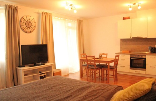 Vilnius city municipality Apartment | FREE transfers, great studio for fun/rest/shopping
