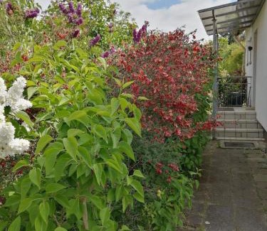 Adendorf House | Freistehendes Ferienhaus in Adendorf mit Terrasse, Grill und Garten