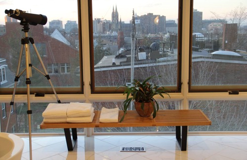 Highland Park Apartment | *Fresh* Modern Triplex in a Classic Boston Row House, Amazing City Views!