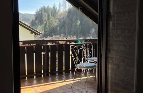 Dornhan Apartment | Freshly renovated apartment for perfect relaxation, very family-friendly