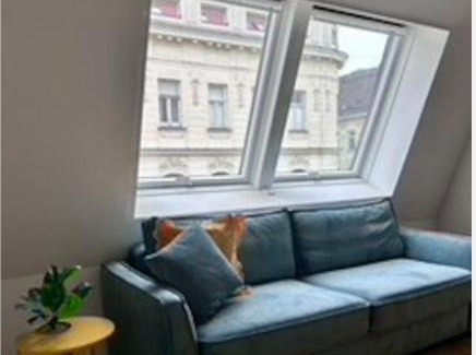 Weißgerber Apartment | Freshly renovated Apartment in Trendy Area l HG21