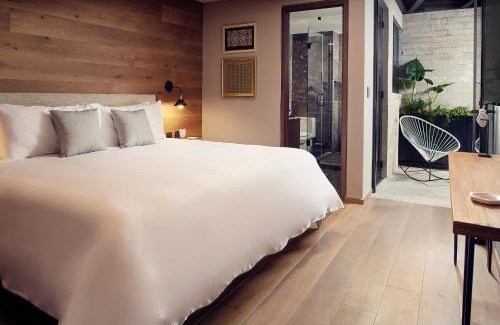 La Condesa Hotel | Frida Boutique Stays by Viadora