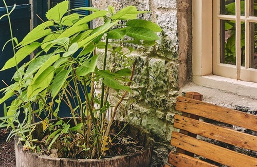 Gileston Apartment | Fritillaria Cottage - Luxury Cottages