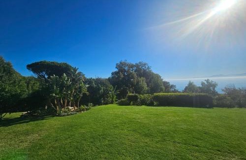 Froggy Farm Apartment | Froggy Farm Self Catering