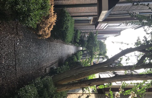 Garden Oaks Apartment | From Ten to Zen