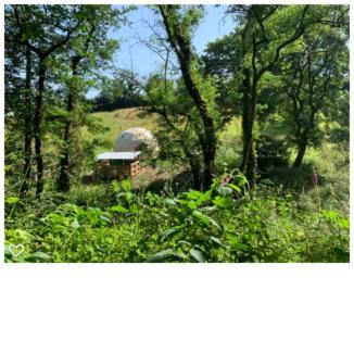 Whitland Other | Frowen Fields Eco Glamping and Camping