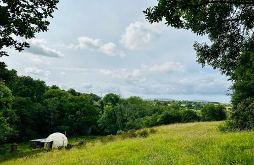 Whitland Other | Frowen Fields Eco Glamping and Camping