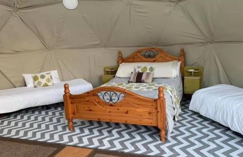 Whitland Other | Frowen Fields Eco Glamping and Camping