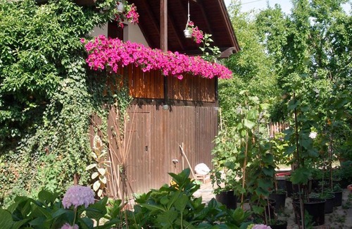 Veldenz Apartment | Fuchsappartement - Pension "Auf der Olk" with "Röpertsmühle"