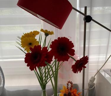 Fulda Apartment | Fulda Apartment