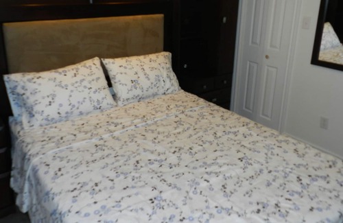 Hochelaga-Maisonneuve Apartment | Full Appartment, Montreal Olympic Parc