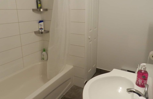 Hochelaga-Maisonneuve Apartment | Full Appartment, Montreal Olympic Parc