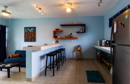 Colonia Andres Apartment | Fully Equipped Art Space - Bicycles/Snorkel Gear - Corpus Christi -Extras