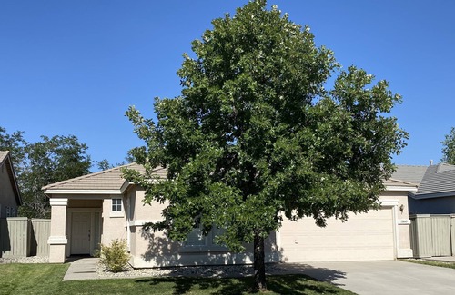 Reno/Tahoe Airport House | Fully-furnished home with private back yard in quiet, safe suburban neighborhood