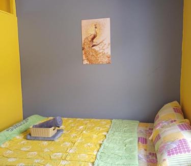 Davao House | Fully-furnished House Near Puan, Bago & Baliok in Davao City