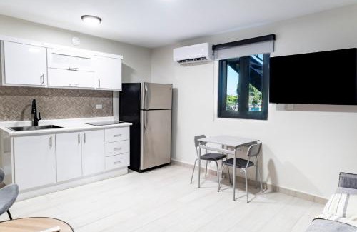 Dorado Pueblo Apartment | Fully Renovated Beachside with Oceanview 1 Bedroom Unit 7